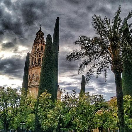 Rosmarinus Centro Διαμέρισμα Κόρδοβα Εξωτερικό φωτογραφία
